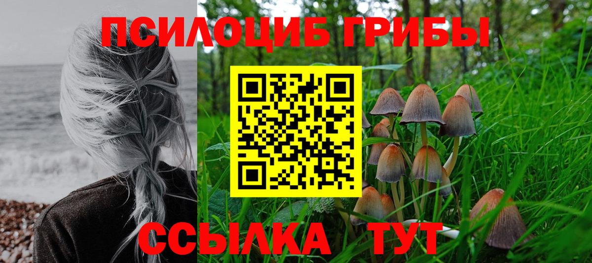 Псилоцибиновые грибы мицелий Свободный