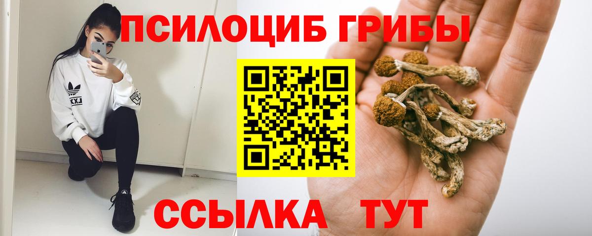 Галлюциногенные грибы прущие грибы  Вход с VPN  Псилоцибиновые грибы Psilocybine cubensis  Свободный 