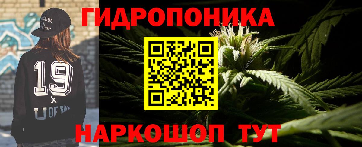 Бошки марихуана ГИДРОПОН Свободный